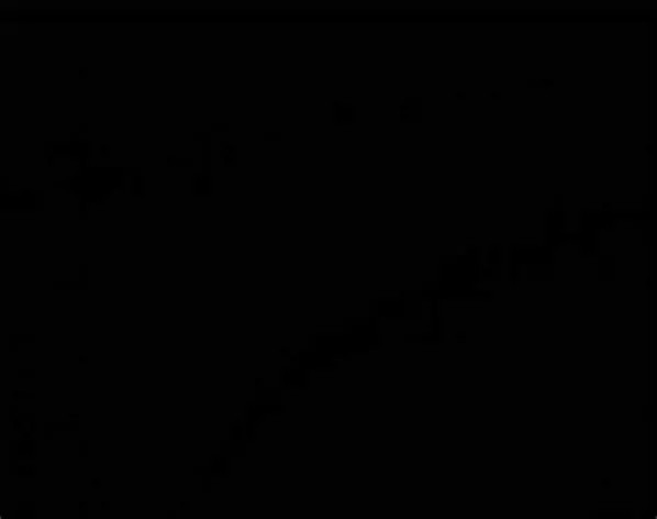 Vista 2 de Radio tipo Baofeng UV-5RH - cajas: 4 cajas